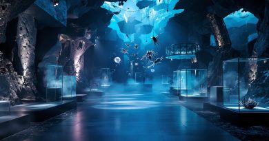 Bisarra modevisningar: Kackerlackor och glaskistor på catwalken