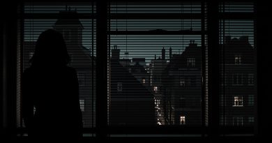 Rollistan i Kvinnan i fönstret